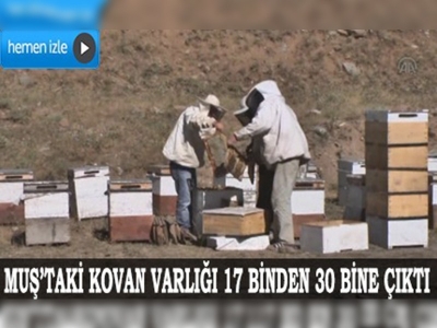 Çözüm süreci, Doğuyu ballandırdı 