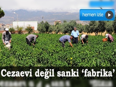 Cezaevi değil sanki fabrika