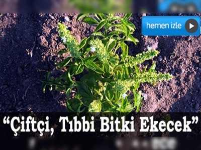 ERÜ'den tıbbi ve aromatik bitki üretimi