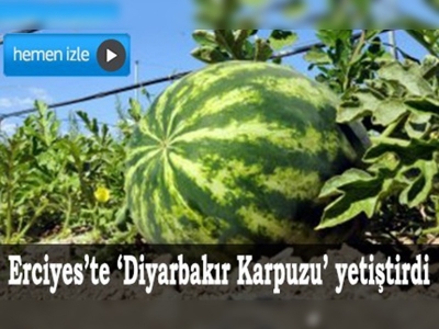 Diyarbakır karpuzu Erciyeste