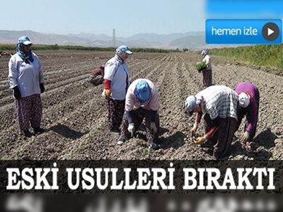 Eski usulleri bıraktı tüplü fideye geçti