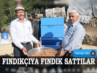 Fındıkçıya fındık sattılar