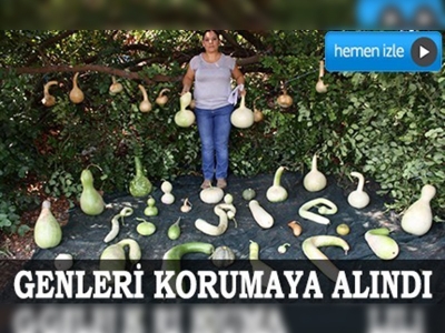 Su kabağının genleri korumaya alındı