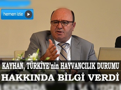 Büyükbaş hayvan sayısı 14 milyon 500 bine yükseldi