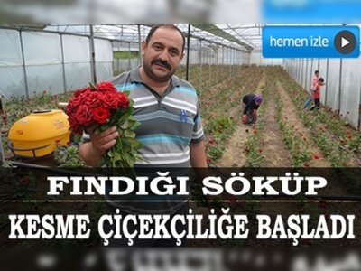 Karadenizde kesme çiçekçilik gelişiyor