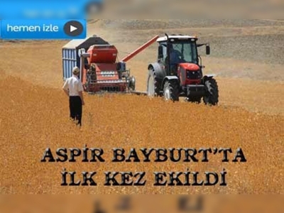 Aspir Bayburtlu çiftçilerin yüzünü güldürdü