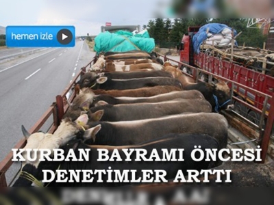 Yozgatta kurbanlık hayvan sevkiyatlarına denetim