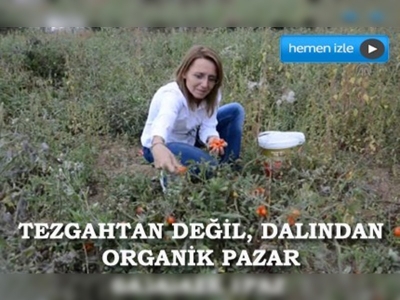 Bahçesini pazara dönüştürdü