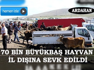 Doğu'dan kurbanlık sevkiyatı hızlandı