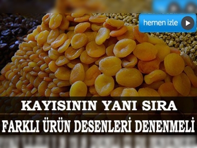 Malatyada kayısıya alternatif arayışları