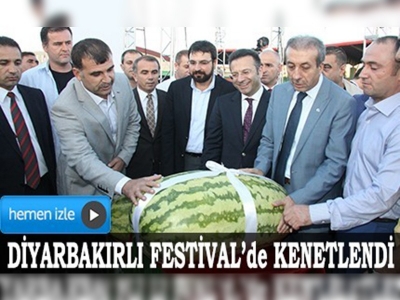 Diyarbakırda Festival Coşkusu