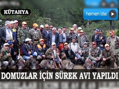  Kütahyada yaban domuzları için sürek avı 