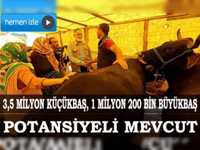 Kurbanlık hayvan bulmada sıkıntı yaşanmayacak