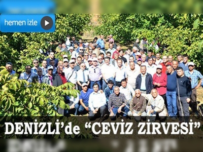 Denizlide ceviz zirvesi