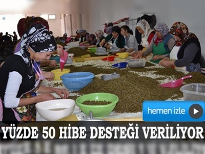 Yozgat'tan kapari ihracatı