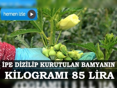 Dalında 7 lira, ipe dizilince fiyatı altınla yarışıyor 