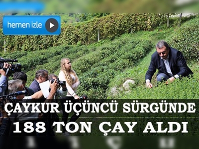 2014 yaş çay sezonunda sona doğru 