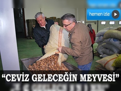 Ceviz üretimimiz artacak