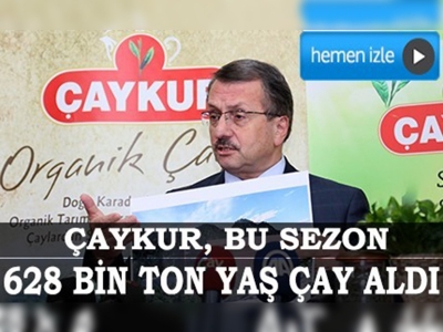 2014 yaş çay alım sezonu kapandı