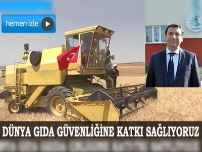 Tahıl ambarından 55 ülkeye ıslah edilmiş buğday gidiyor 