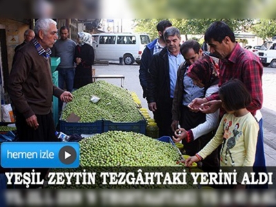 Yeşil zeytin tezgahtaki yerini aldı