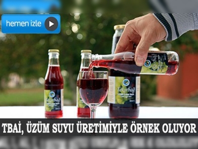 Üzüm suyu üretiminde model oldu