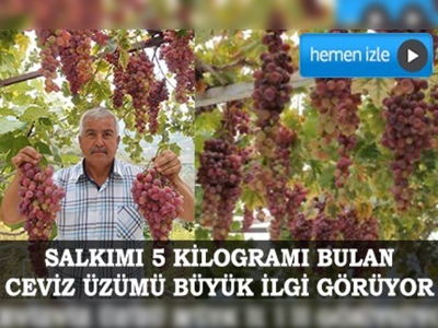 Bu üzümün salkımı 25 lira