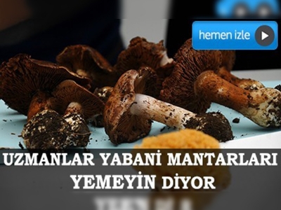 Sıcaklık ve yağışlar mantar zehirlenmelerini artırabilir