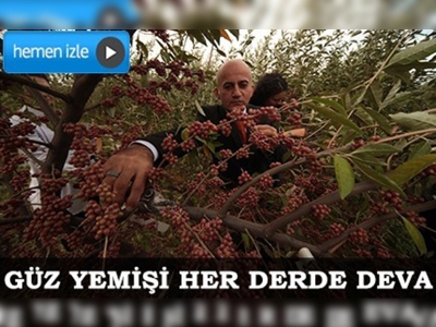 Güz Yemişi Türkiye'nin her yerinde yetiştirilecek