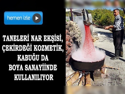 Türkiye'nin tescilli tek sofralık narı keben narı