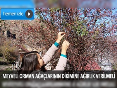 Doğanın korunması için yabani meyve üretimi şart  