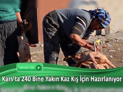 Kadınların kaz temizleme mesaisi başladı