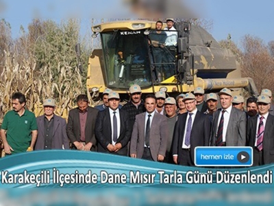 Dane Mısır Yetiştiricliğinin Püf Noktaları