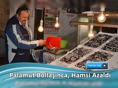 Karadeniz'de hamsiye palamut darbesi 