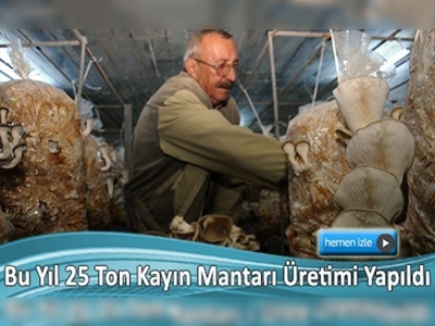 Muğlalı çiftçinin yeni gelir kaynağı kayın mantarı 