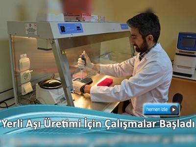 Buzağı ölümlerini önlemek için yerli aşı geliştirilecek 