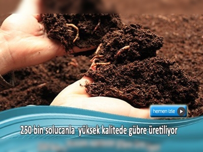 Solucanlarla 'siyah altın' üretiyorlar