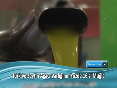 ''Biz 2, komşu 25 kilogram zeytinyağı tüketiyor''