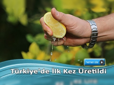 Çekirdeksiz limon ABD ve Güney Afrika yolunda