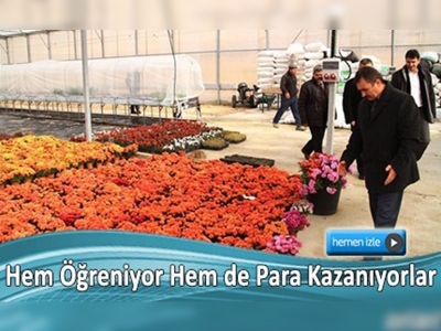 Öğrenciler, hem seracılığı öğrenecek hem para kazanacak 