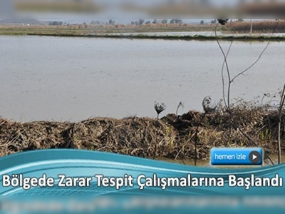 Büyük Menderes Nehri'ndeki su taşkını