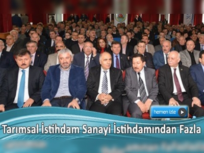 Fındık fiyatlarındaki artış üreticiye yaradı