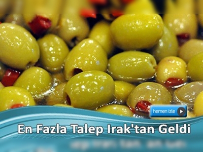 Yeşil Zeytin ihracatı arttı