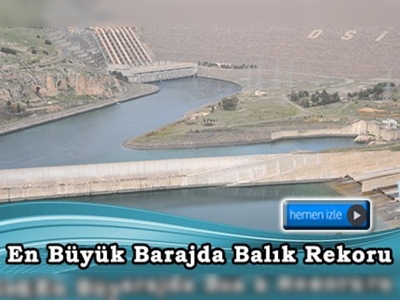 Atatürk Barajı, balık üretimiyle de rekora koşuyor