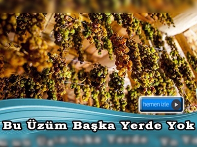 Bu üzüm başka yerde yok