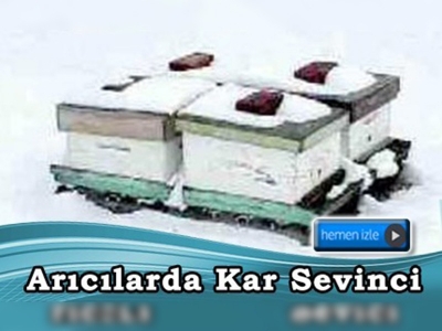 Kar yağışı ve soğuk hava, arıcıları memnun etti