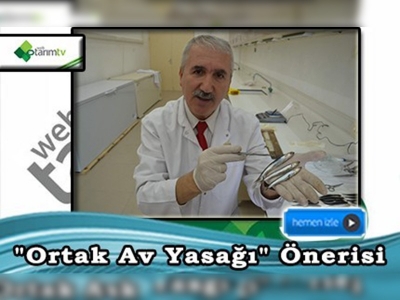 Hamsi için ''ortak av yasağı'' önerisi