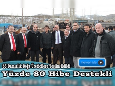 Üreticilere hibe destekleri hız kesmiyor