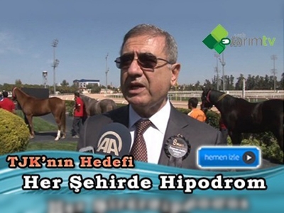 TJK'nın hedefi her şehre bir hipodrom 