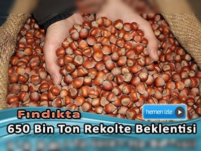 FİSKOBİRLİK'ten fındık rekolte açıklaması